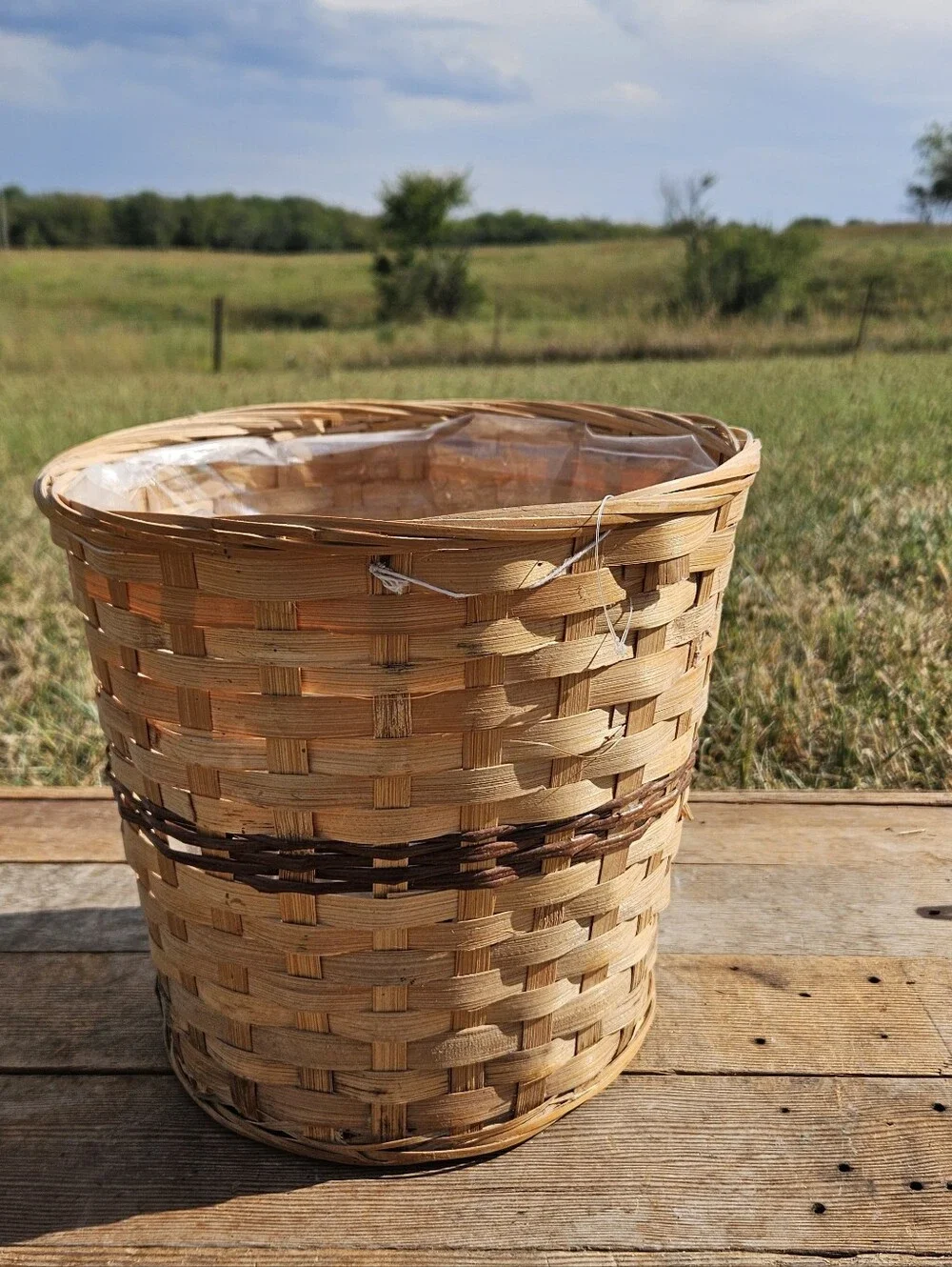 Vintage Woven Bamboo Basket Plastic Liner Planter Boho Farmhouse Pot Cover Bin